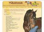 Equissage, massage pour chevaux, physiothérapie.