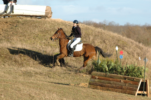 CCE Dimanche 18 à Longvilliers ( 78 )