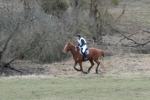 CCE Dimanche 18 à Longvilliers ( 78 )