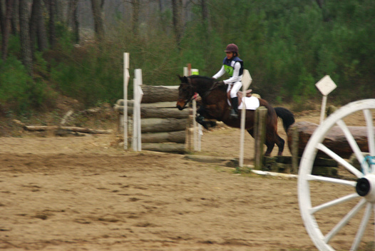 Concours CCE St Mars d'Outillé - 1 mars 2009