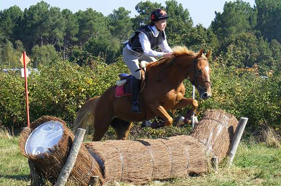 Poney Selle français Panama Blonnière 147 cms. VENDU.