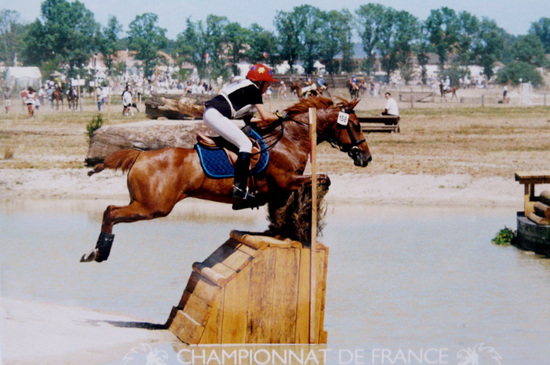 LOUEE - A Vendre pour CCE et CSO. Poney Kaline de mondésir 146 cms. LOUEE.