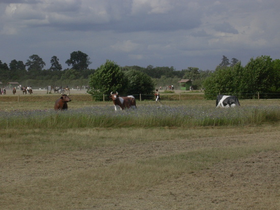 Les résultats de notre Open de France Generali 2009 Poneys