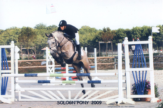 Sologn’ Pony. Du 20 au 23 août 2009 - Lamotte Beuvron (41)