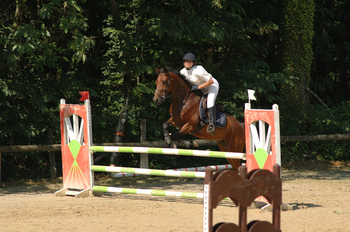 Cso aux Bouleries à Yvré l'évêque (sarthe, 72)