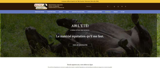 Une sellerie en ligne