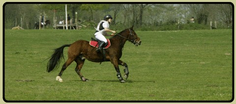 Céline et Harrys II