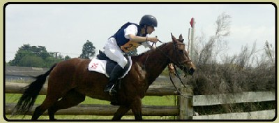 Gwenaël et Jumanjy à fond sur le cross.