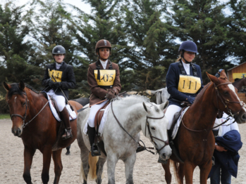 Jour de concours à Sandillon