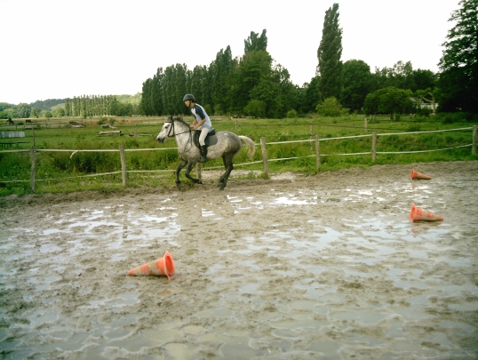 Poney ONC Simon - VENDU