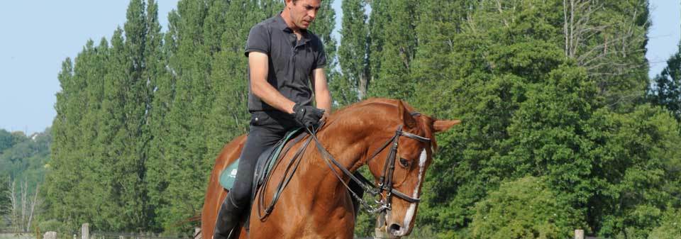 Faire dresser son cheval.