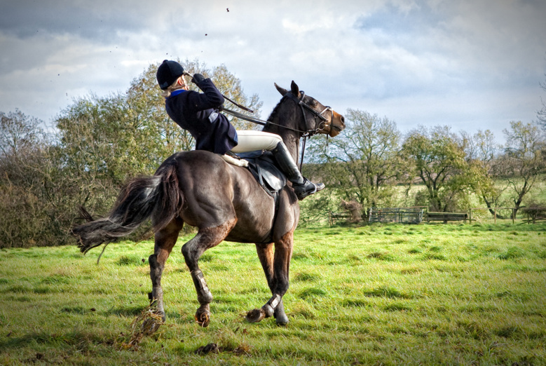 En panne de communication avec votre cheval ?