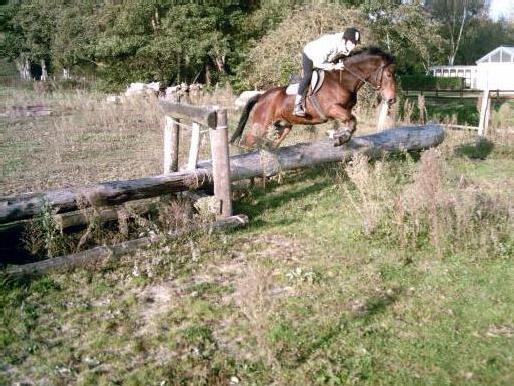 Quetsche de buyet, débourrage ponette C