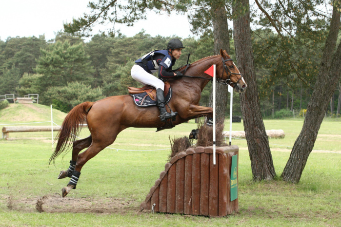 Fontainebleau Grand Prix Classic - CCI *