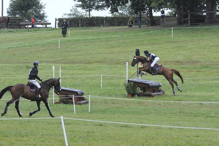 CCI* Le pin