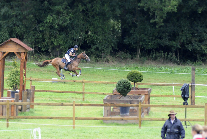 CCI* Le pin