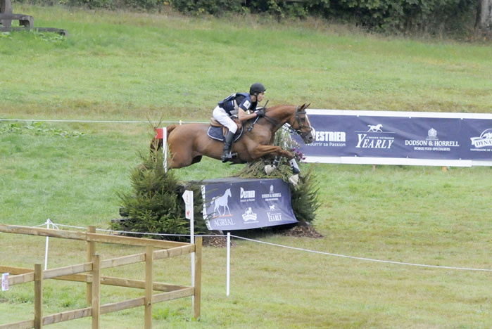 CCI* Le pin