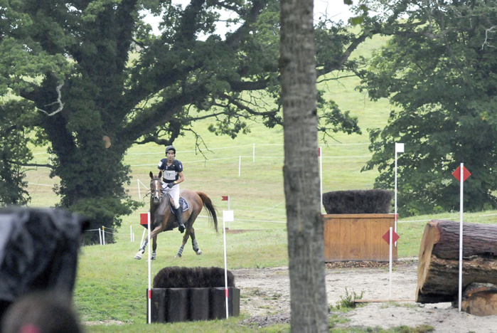 CCI* Le pin