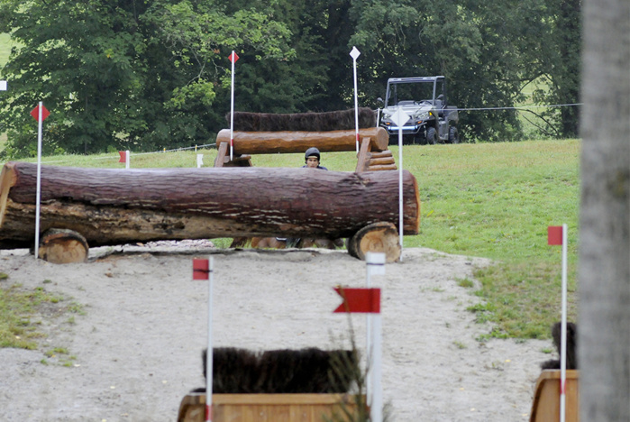 CCI* Le pin