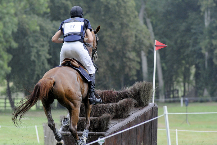 CCI* Le pin