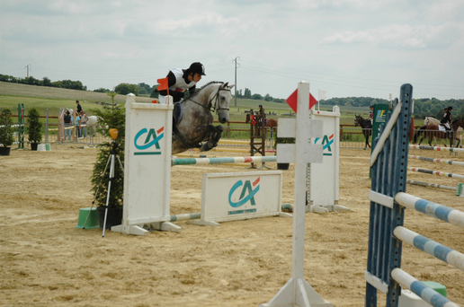 Poney demi-sang arabe Mohican du Berry - VENDU