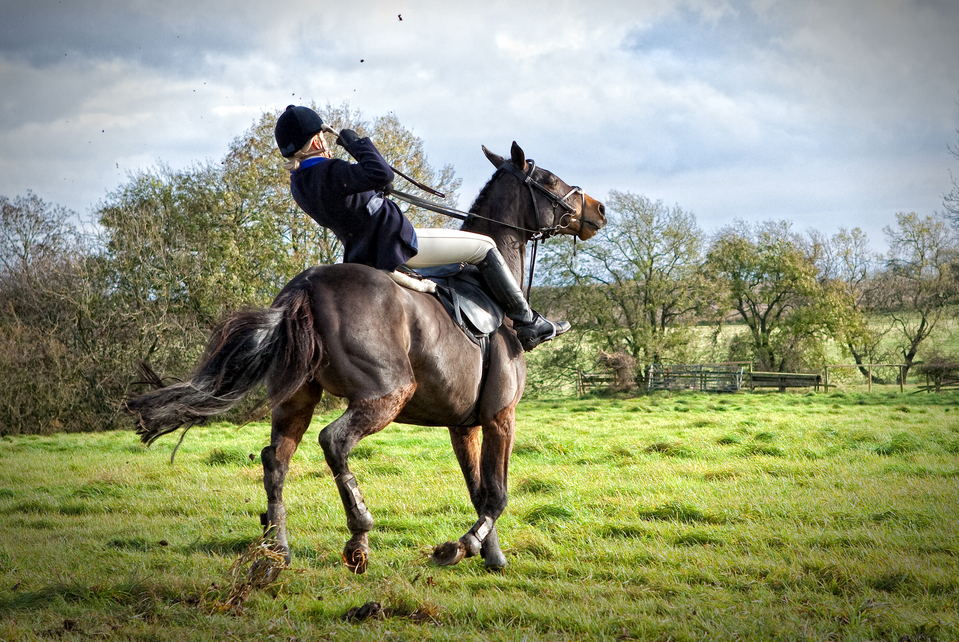 En panne de communication avec votre cheval ?