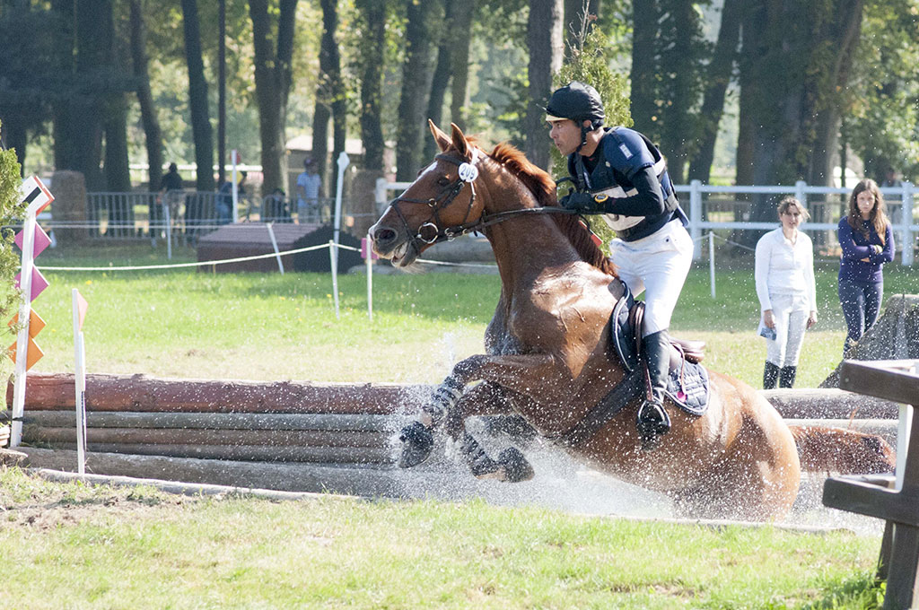 HARAS DE JARDY CIC* - Septembre 2014