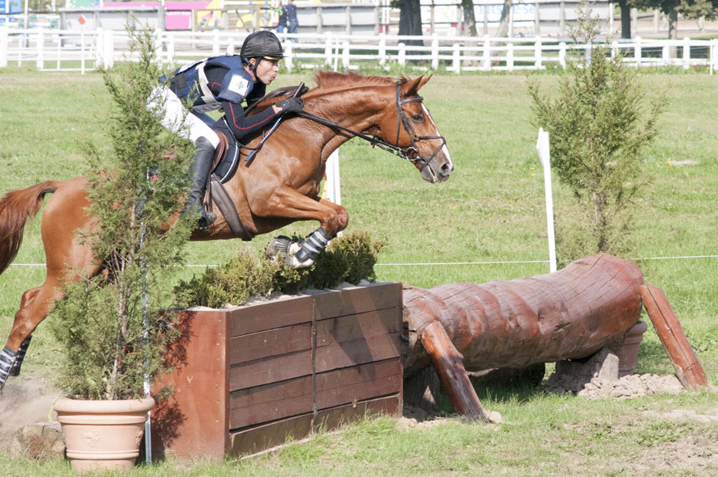 HARAS DE JARDY CIC* - Septembre 2014