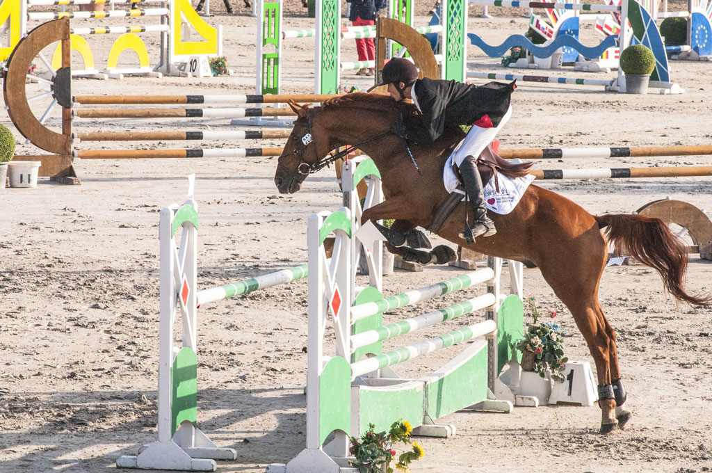 HARAS DE JARDY CIC* - Septembre 2014