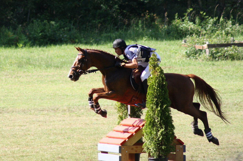 Saumur Pro 3 - Juin 2015