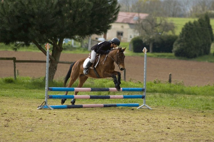 Concours complet club ponam à Mansigné le 13/04/08.