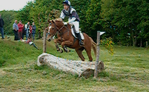 Poney Selle français Panama Blonnière 147 cms. VENDU.