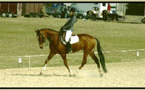 CCE LONGVILLIERS 19/03/2006