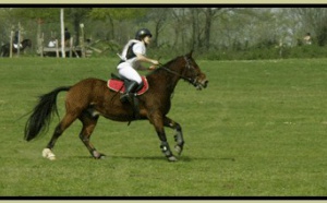 CCE MANSIGNE 23/04/2006