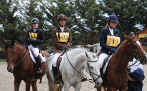 Jour de concours à Sandillon
