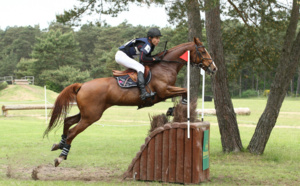 Fontainebleau Grand Prix Classic - CCI *