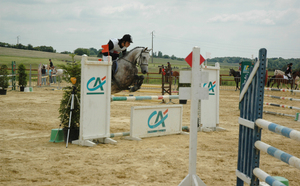 Poney demi-sang arabe Mohican du Berry - VENDU