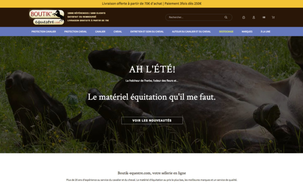 Une sellerie en ligne
