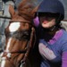 journée du cheval002