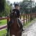 journée du cheval006