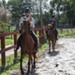 journée du cheval008