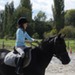 journée du cheval011