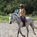 journée du cheval016