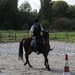 journée du cheval020