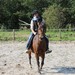 journée du cheval021
