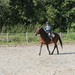 journée du cheval023