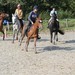 journée du cheval024