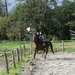 journée du cheval026