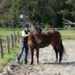 journée du cheval027