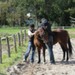 journée du cheval028